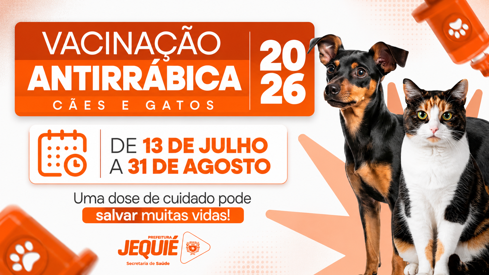 Prefeitura de Jequié inicia campanha de vacinação contra raiva e amplia proteção de cães e gatos em diversos bairros e Zona Rural