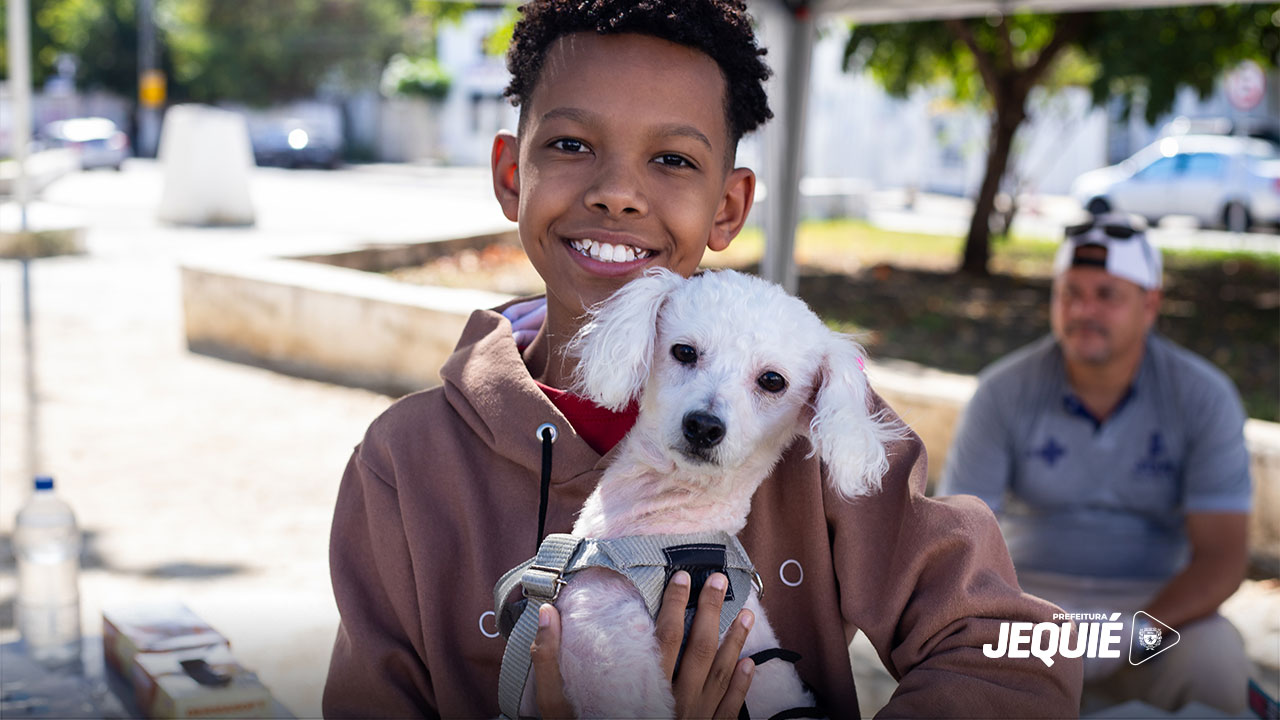 Prefeitura de Jequié ultrapassa 3,2 mil cães e gatos vacinados no Dia D da Campanha Antirrábica